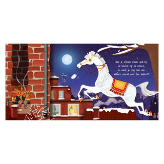 Afbeelding laden in galerijviewer, Lantaarn publishers kijk en voel - sinterklaas