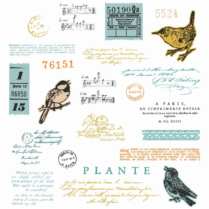 Load image into Gallery viewer, Sizzix • clear stamp set a5 with framelits die bird song 28pcs