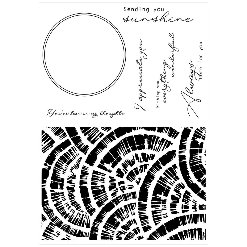 Load image into Gallery viewer, Sizzix • creative coordinations clear stamps with framelits radiance 8pcs