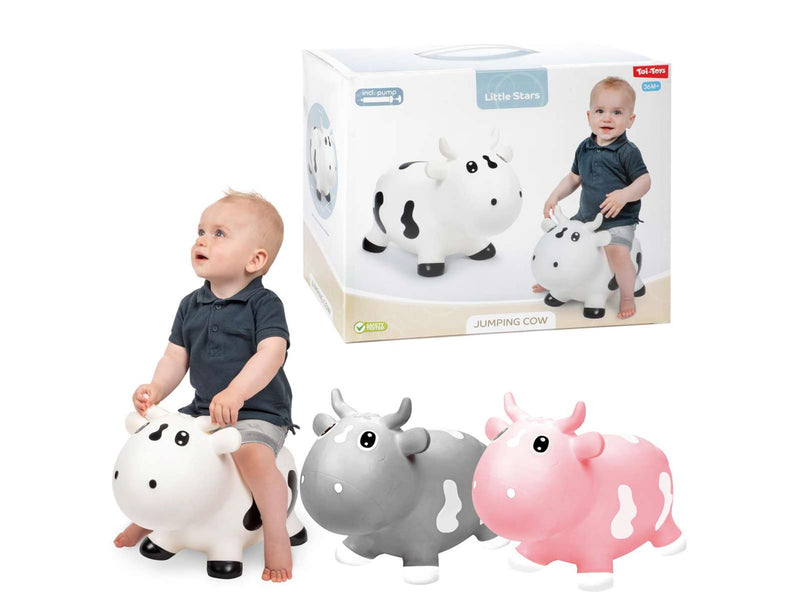 Load image into Gallery viewer, Toi-toys toi toys little stars skippydier koe