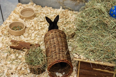 Load image into Gallery viewer, Happy pet wilgen tunnel