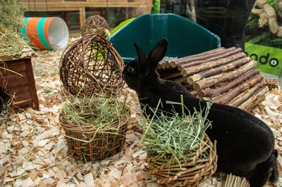 Load image into Gallery viewer, Nature first happy pet wilgen hooirek