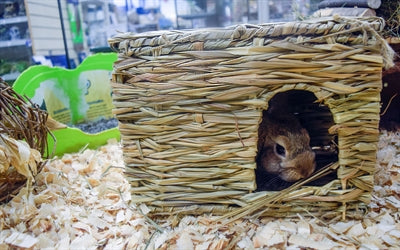 Load image into Gallery viewer, Nature first happy pet grassy hideaway verstopplek