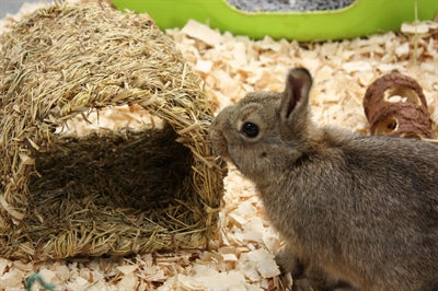 Load image into Gallery viewer, Happy pet grassy tunnel