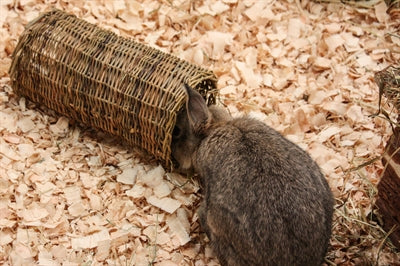Load image into Gallery viewer, Nature first happy pet wilgen tunnel