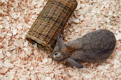 Load image into Gallery viewer, Nature first happy pet wilgen tunnel