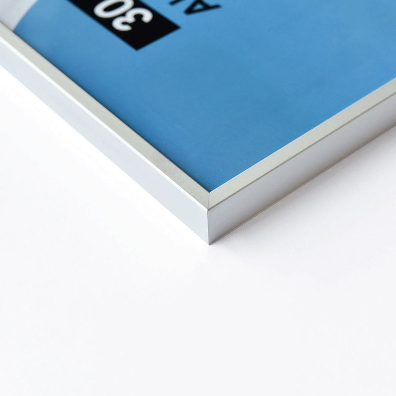 Load image into Gallery viewer, Nielsen design nielsen fotolijst 59844 accent mat zilver 30x45 cm