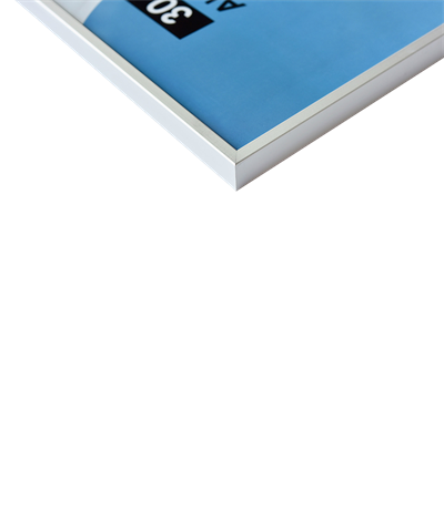 Load image into Gallery viewer, Nielsen design nielsen fotolijst 53524 accent mat zilver 20x30 cm