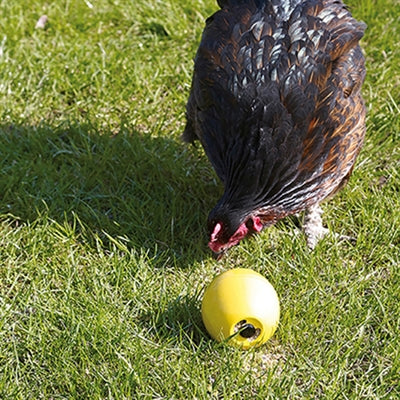 Load image into Gallery viewer, Savic kippenspeeltje chicken fun