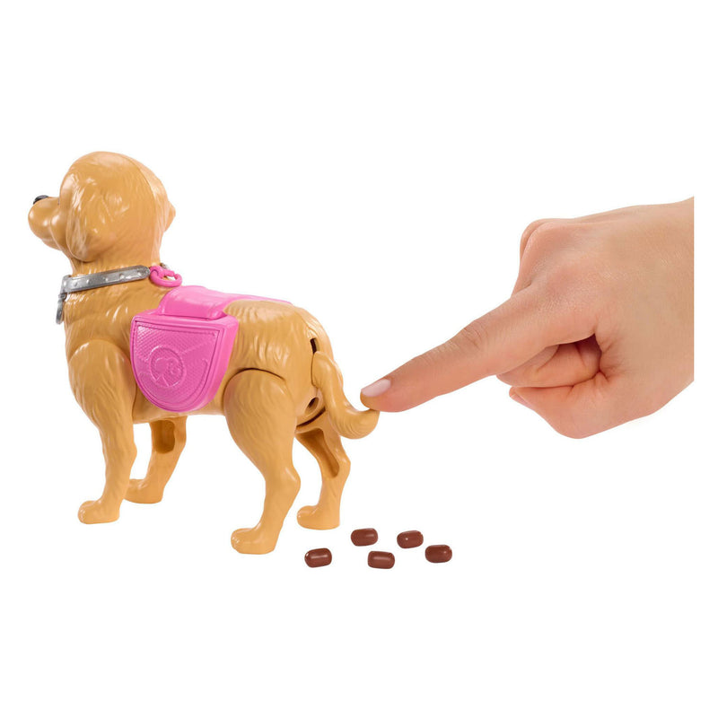 Chargez l'image dans la visionneuse de la galerie, Barbie set en haar puppy