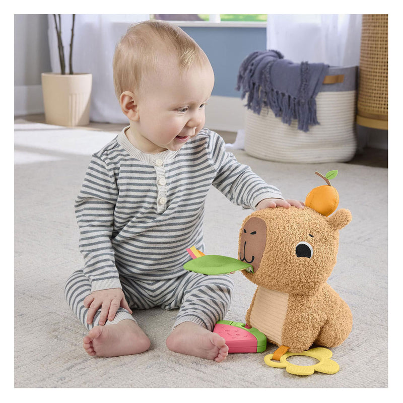 Afbeelding laden in galerijviewer, Fisher-price snackende capibara knuffel - zintuiglijk speelgoed met bijtring en rammelaar