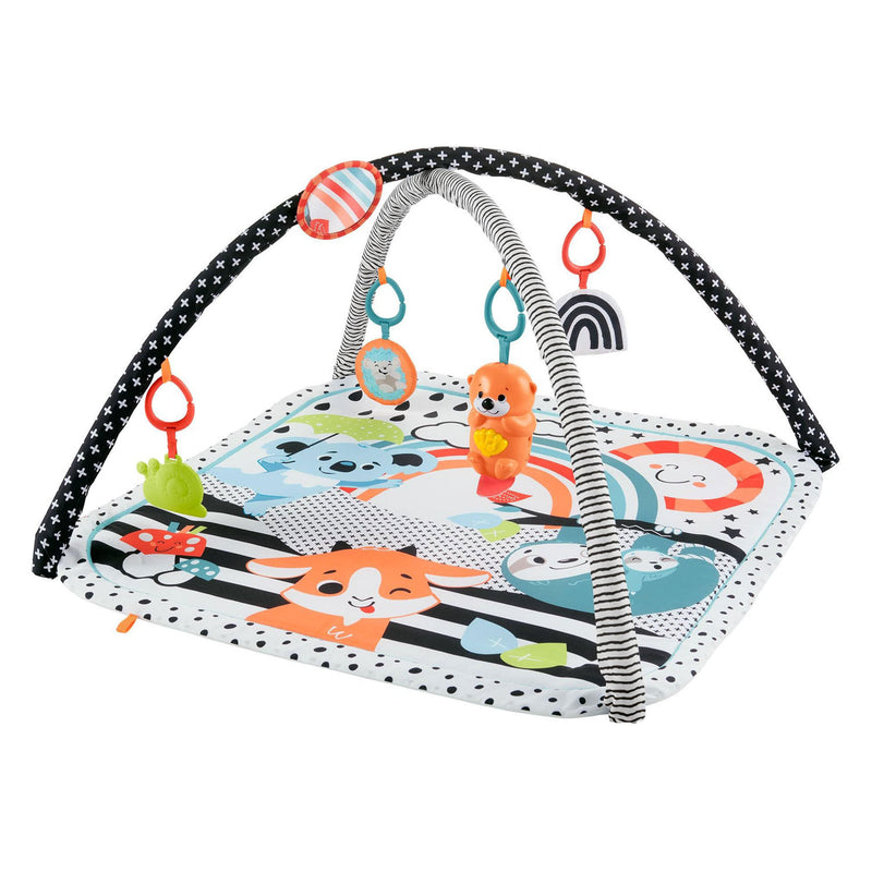 Laden Sie das Bild in Galerie -Viewer, Fisher price fisher-price 3-in-1 muziek glow grow gym