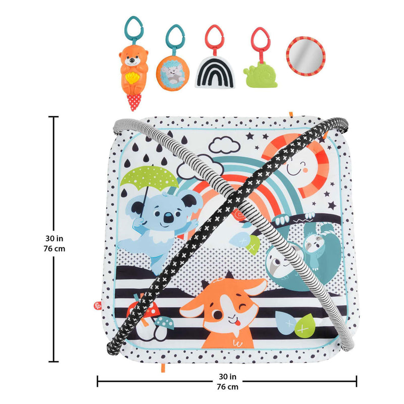 Laden Sie das Bild in Galerie -Viewer, Fisher price fisher-price 3-in-1 muziek glow grow gym