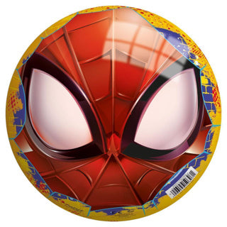 Afbeelding laden in galerijviewer, Spider-man | 10 stuks