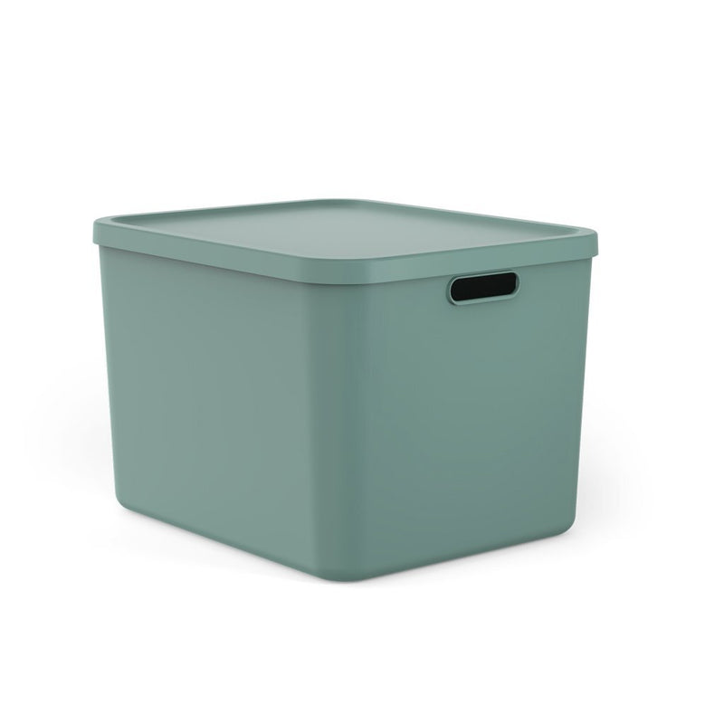Afbeelding laden in galerijviewer, Rotho albula multibox 55l mistletoe groen