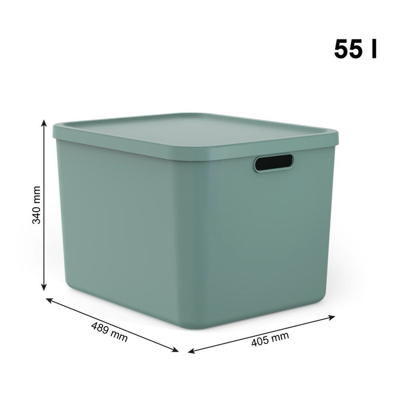 Afbeelding laden in galerijviewer, Rotho albula multibox 55l mistletoe groen