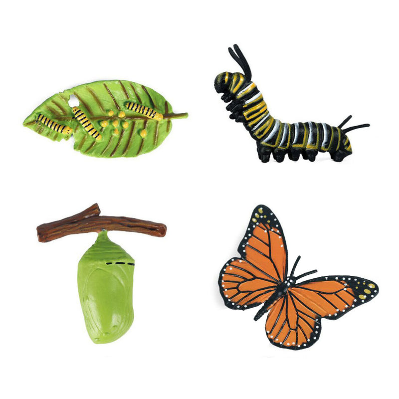 Load image into Gallery viewer, Cycplus levenscyclus vlinder speelfiguren set