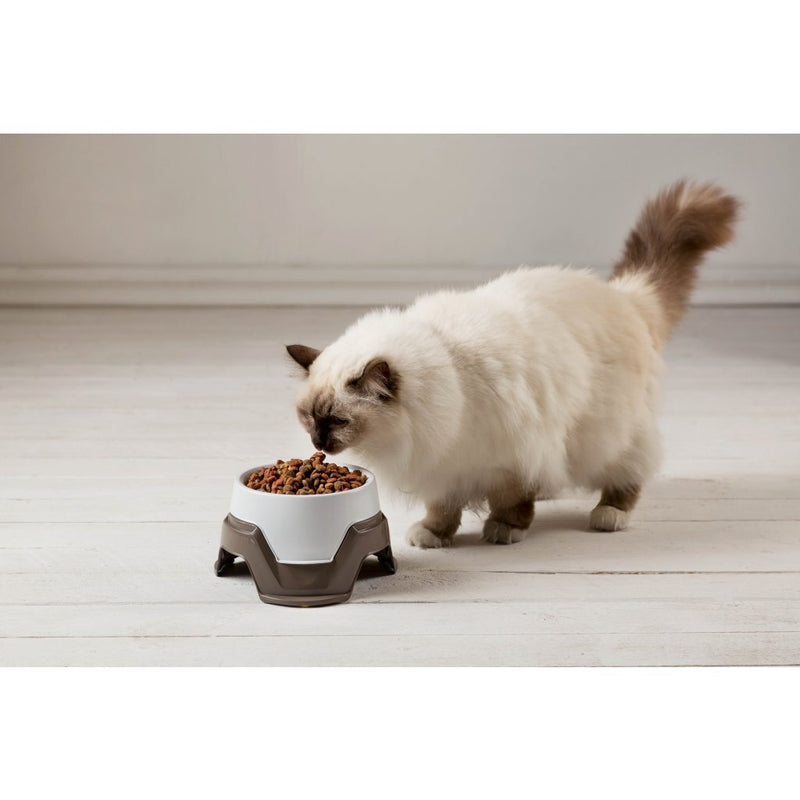 Load image into Gallery viewer, Bama pet voederbak stapelbaar 19x10-13 cm assorti