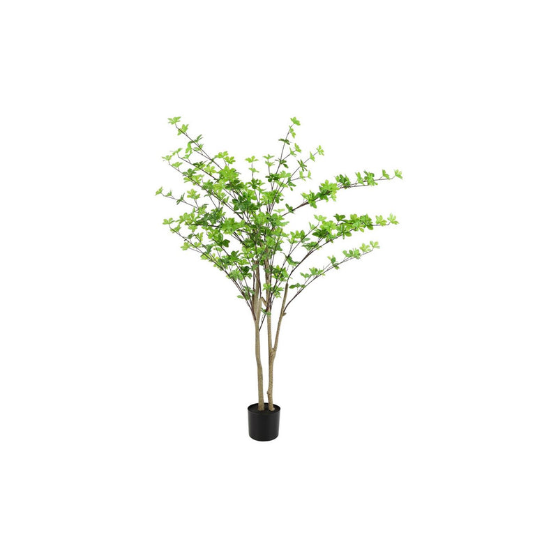 Cargue la imagen en el visor de la galería, Countryfield plant dysosma pleiantha 150cm groen