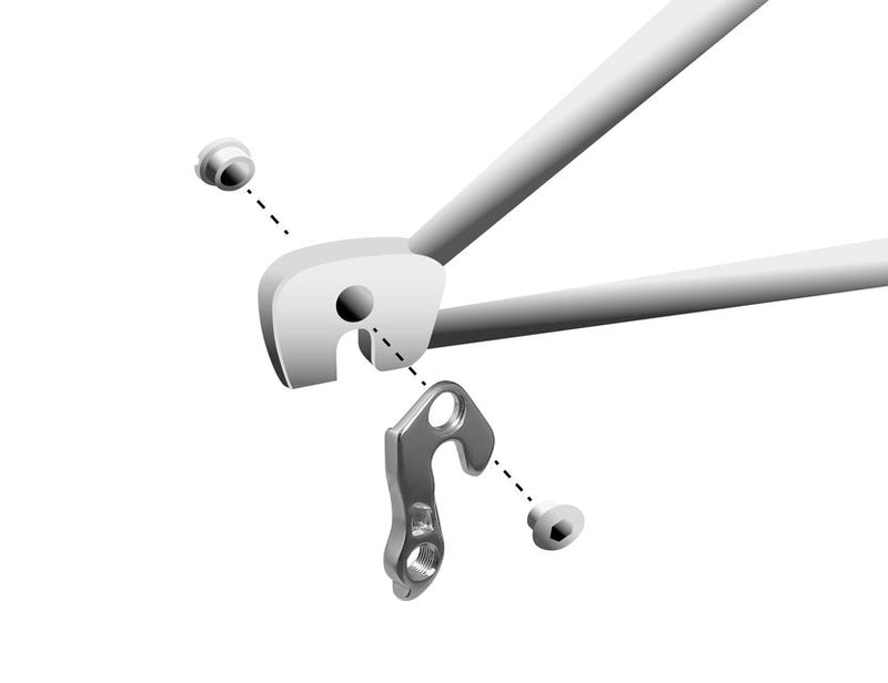 Load image into Gallery viewer, Union derailleurpad GH-078 met schroefset M8x0.75