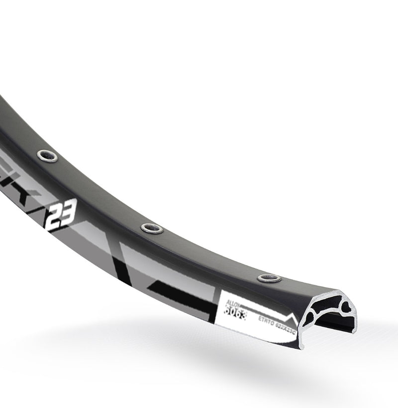Load image into Gallery viewer, Rodi Velg Blackrock 23 disc 28 29 622 x 23C aluminium 36 gaats 14G zwart