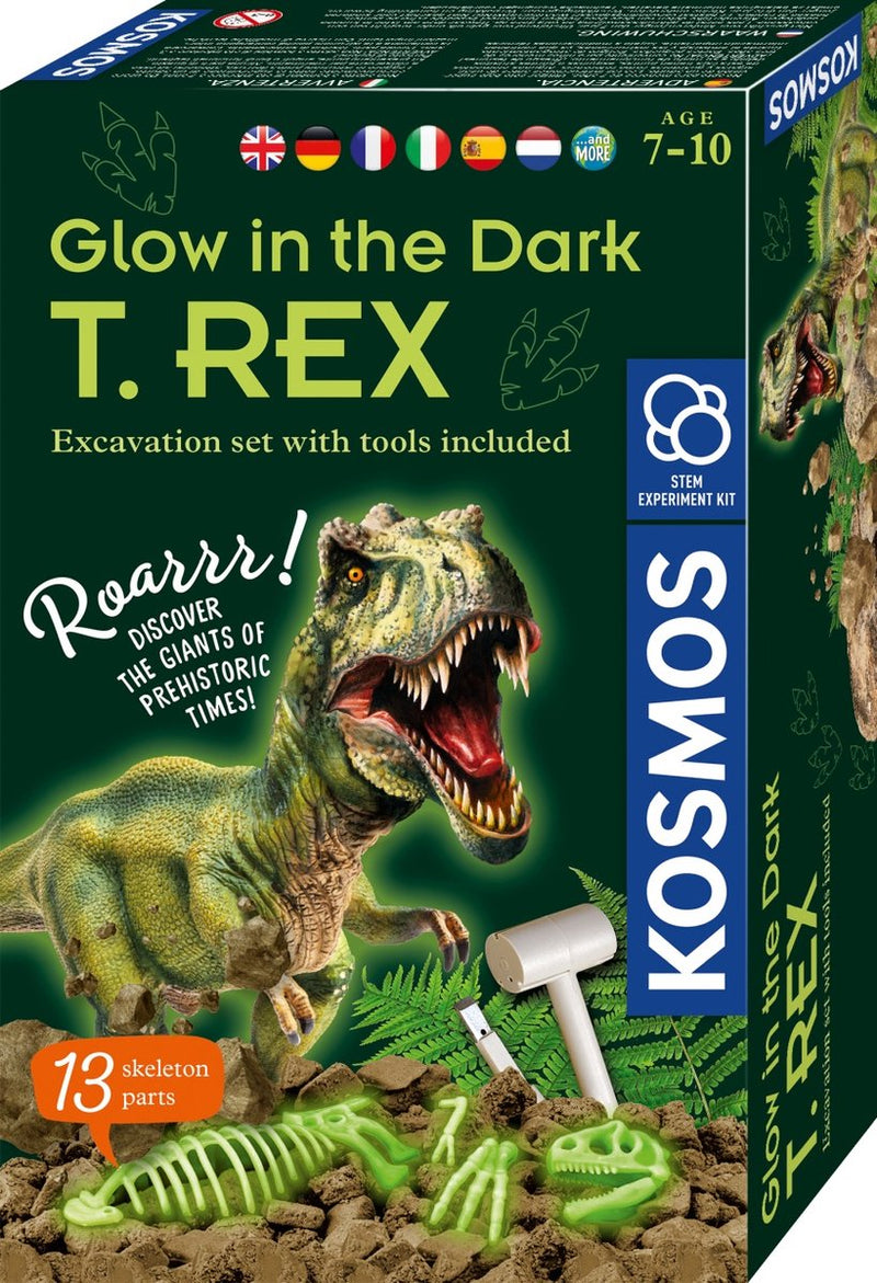 Afbeelding laden in galerijviewer, Kosmos glow in the dark t-rex bikken
