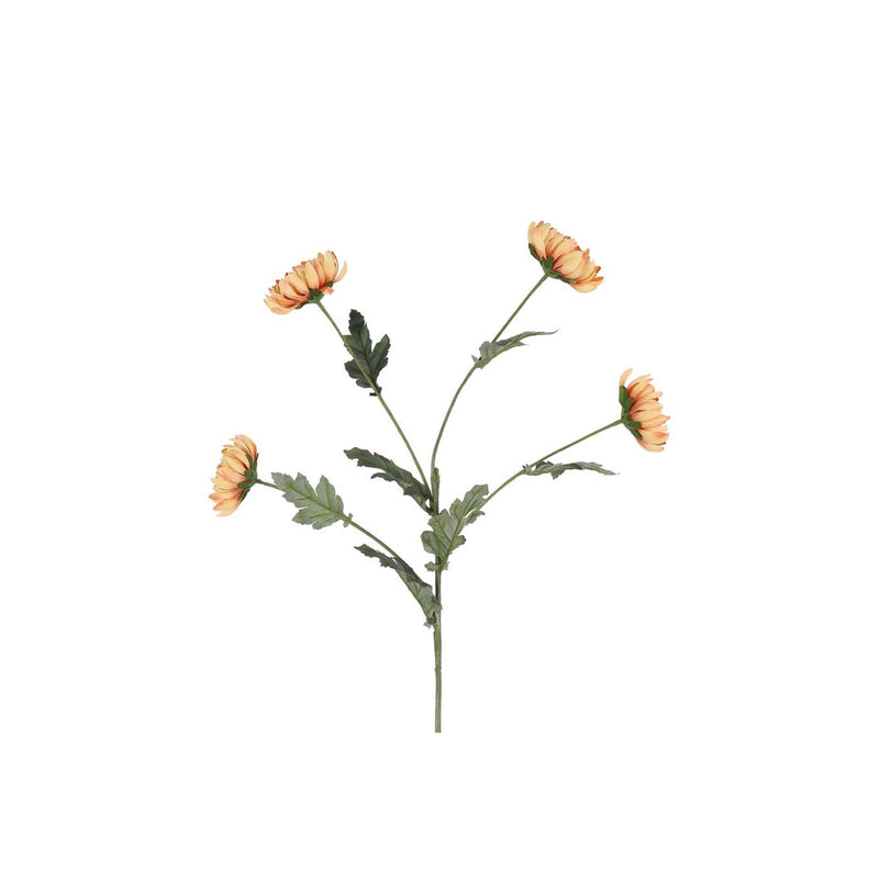 ギャラリービューアに画像をロードする, Countryfield kunsttak chrysanthemum beige 20xh83,8cm