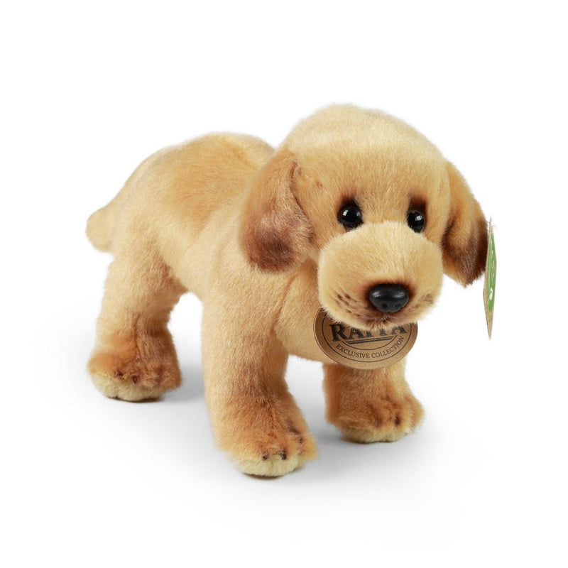 Afbeelding laden in galerijviewer, Pluche labrador 20 cm eco-vriendelijk