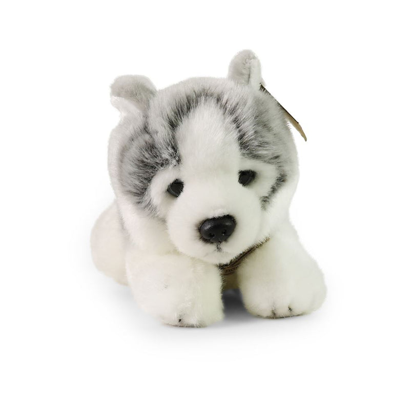 Afbeelding laden in galerijviewer, Pluche husky 24 cm eco-vriendelijk