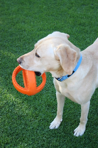 Load image into Gallery viewer, Happy pet grubber interactieve voetbal oranje