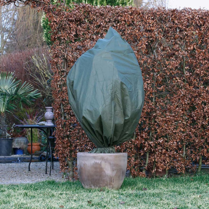 Load image into Gallery viewer, Nature Nature Winterhoes 70 g m² 2,5x3 m groen