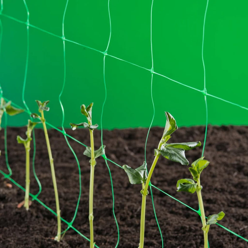 Load image into Gallery viewer, Nature klimnet voor planten groen 1x10 m 6030429