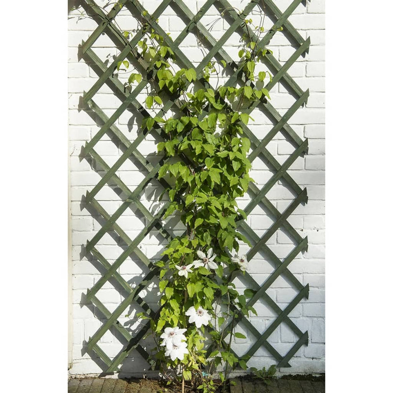 Load image into Gallery viewer, Nature tuinlatwerk 50x150 cm hout groen