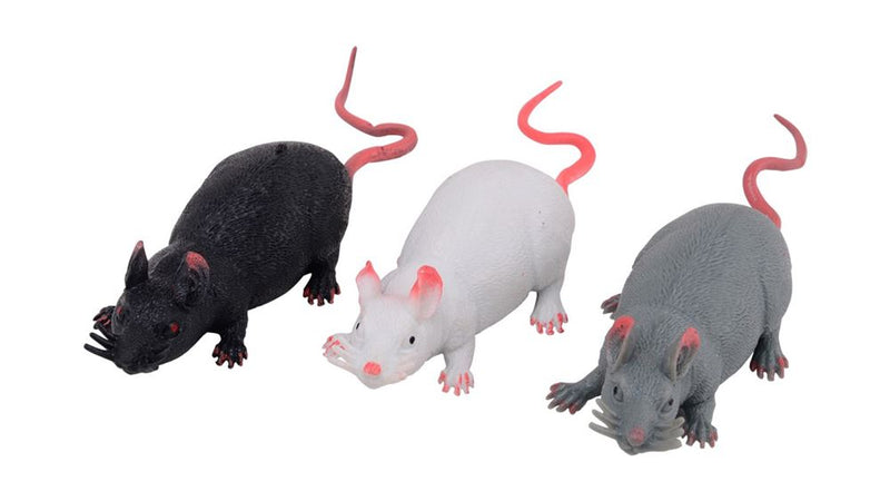 Afbeelding laden in galerijviewer, Set animal world rat stretch 3 assortie