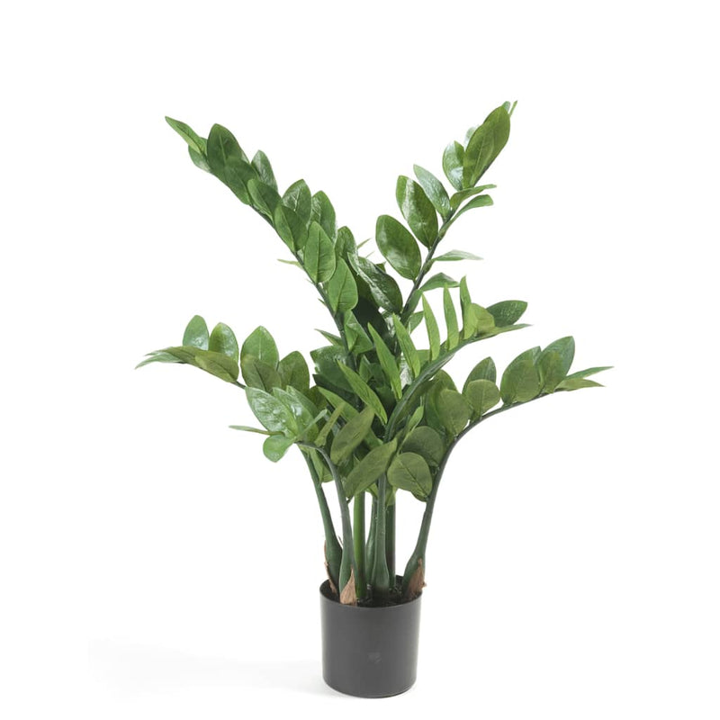 Load image into Gallery viewer, Emerald kunstplant zamioculcas 70 cm