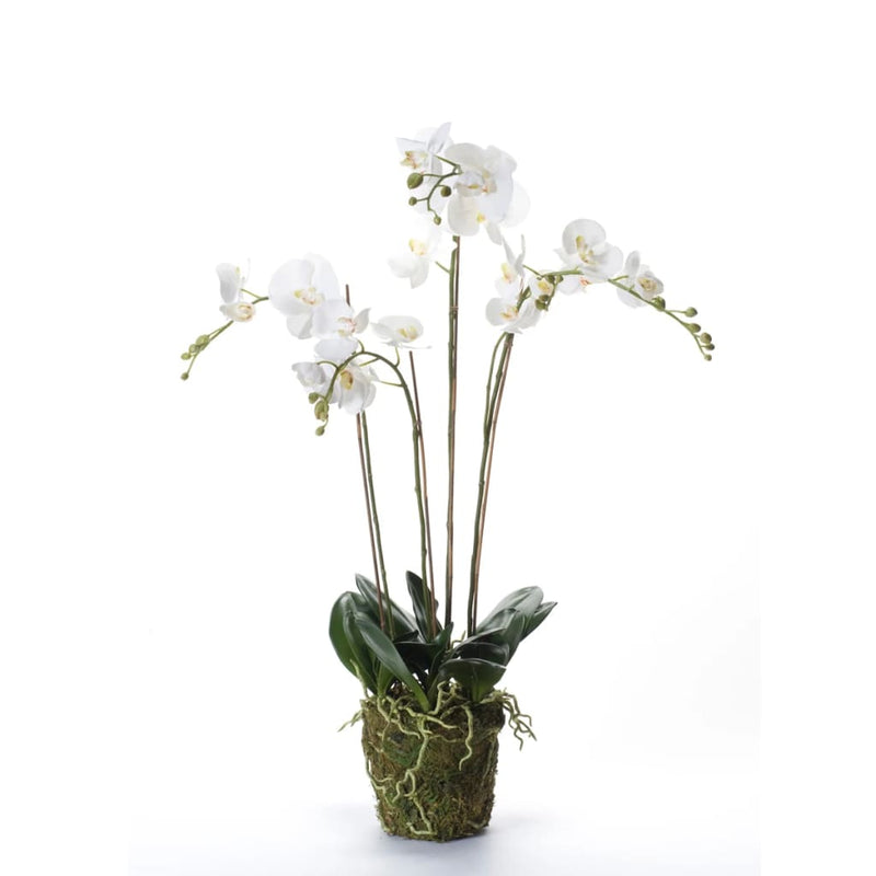 Load image into Gallery viewer, Emerald kunstplant orchidee met mos wit 90 cm 20.355