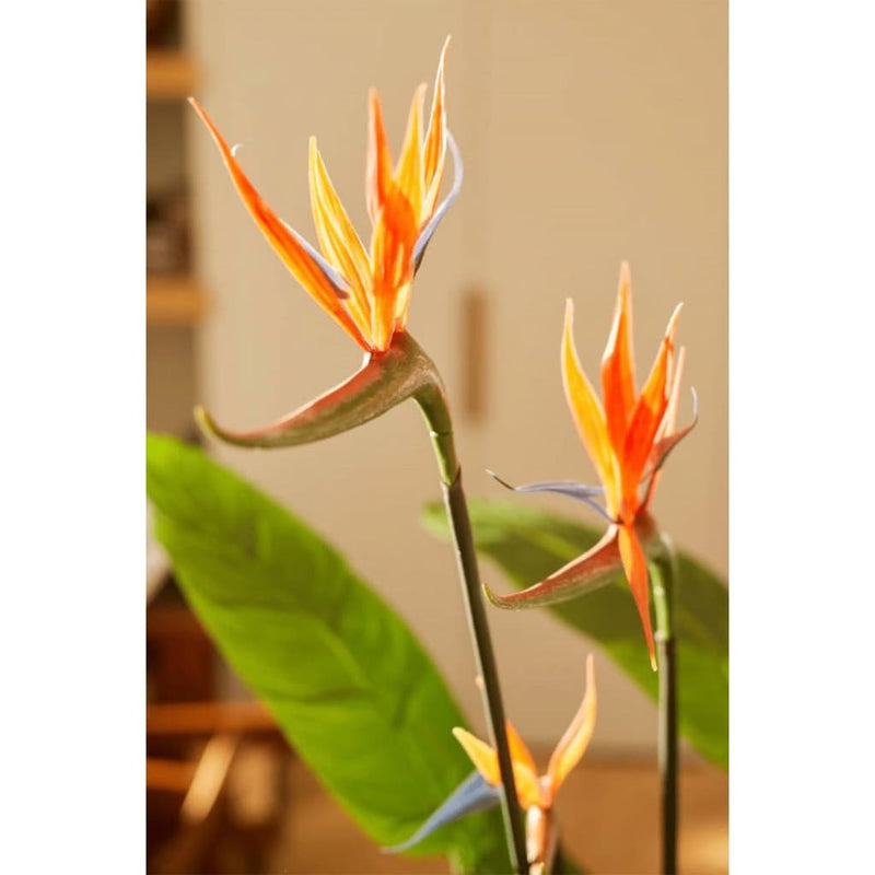 Load image into Gallery viewer, Emerald kunstplant met pot en bloemen strelitzia 120 cm