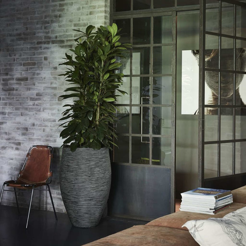 Load image into Gallery viewer, Capi bloempot nature rib elegant deluxe 45x72 cm antraciet