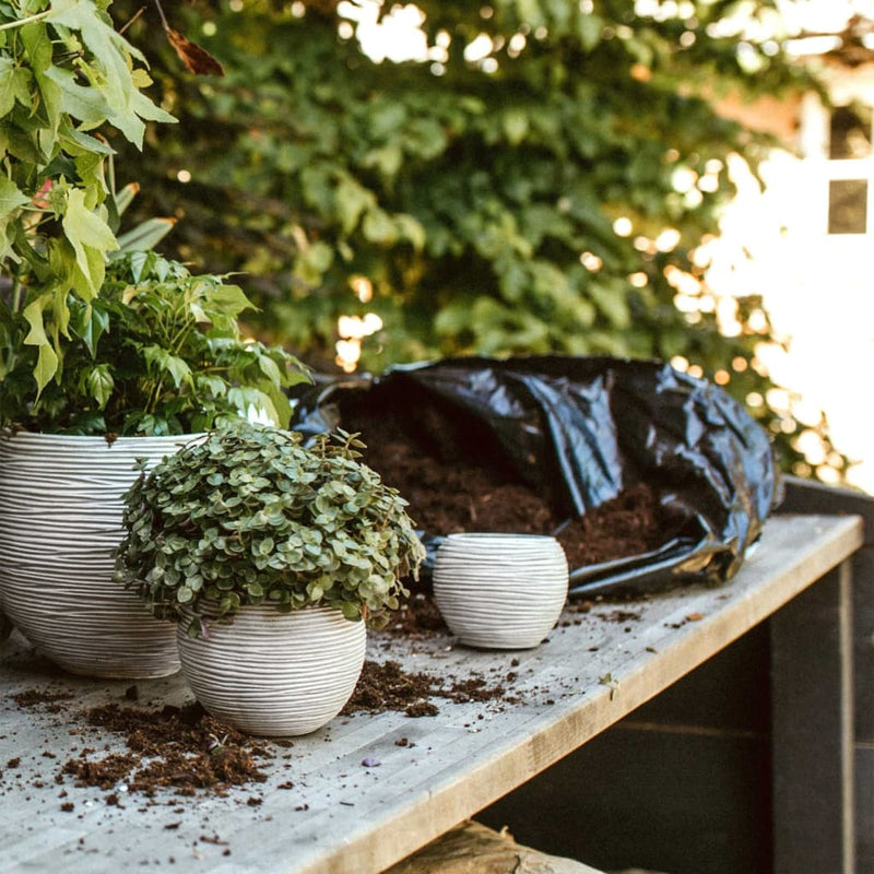 Load image into Gallery viewer, Capi capi 3-delige bloempottenset nature rib ivoorkleurig