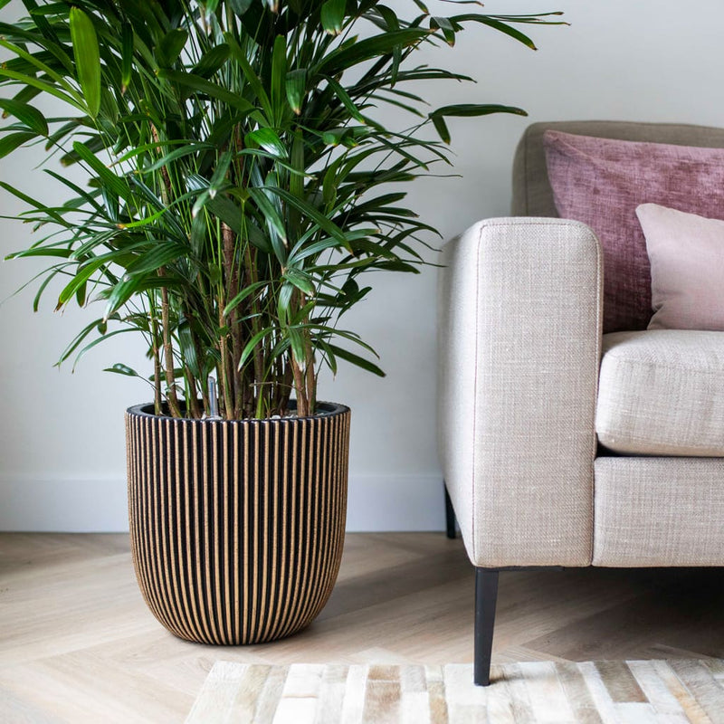 Load image into Gallery viewer, Capi plantenbak groove 35x34 cm zwart en goudkleurig