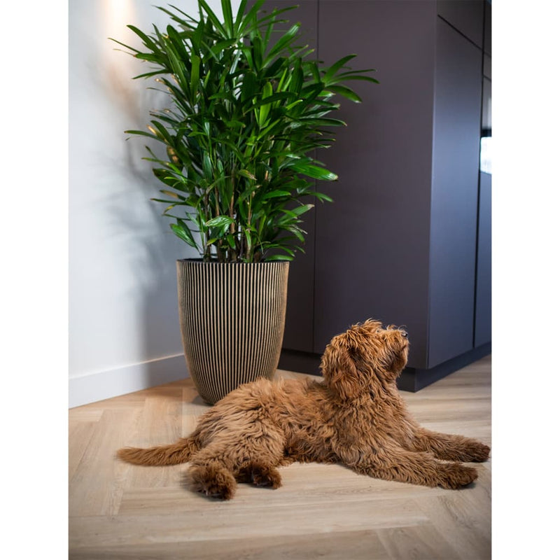 Load image into Gallery viewer, Capi bloempot groove elegant 46x58 cm zwart en goudkleurig