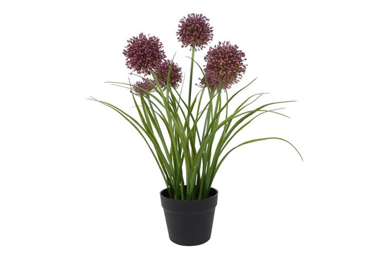 ギャラリービューアに画像をロードする, Countryfield kunst plant allium s paars 16x16xh60cm