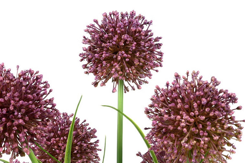 ギャラリービューアに画像をロードする, Countryfield kunst plant allium s paars 16x16xh60cm