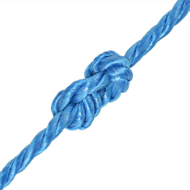 Load image into Gallery viewer, Vidaxl touw gedraaid 10 mm 100 m polypropyleen blauw