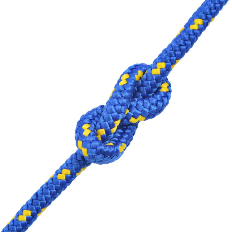 Load image into Gallery viewer, Vidaxl boot touw 12 mm 250 m polypropyleen blauw