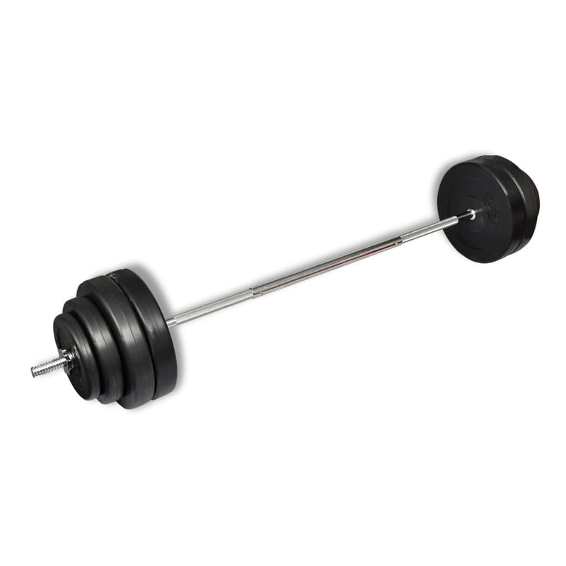 Load image into Gallery viewer, VidaXL Halter met gewichten 60 kg