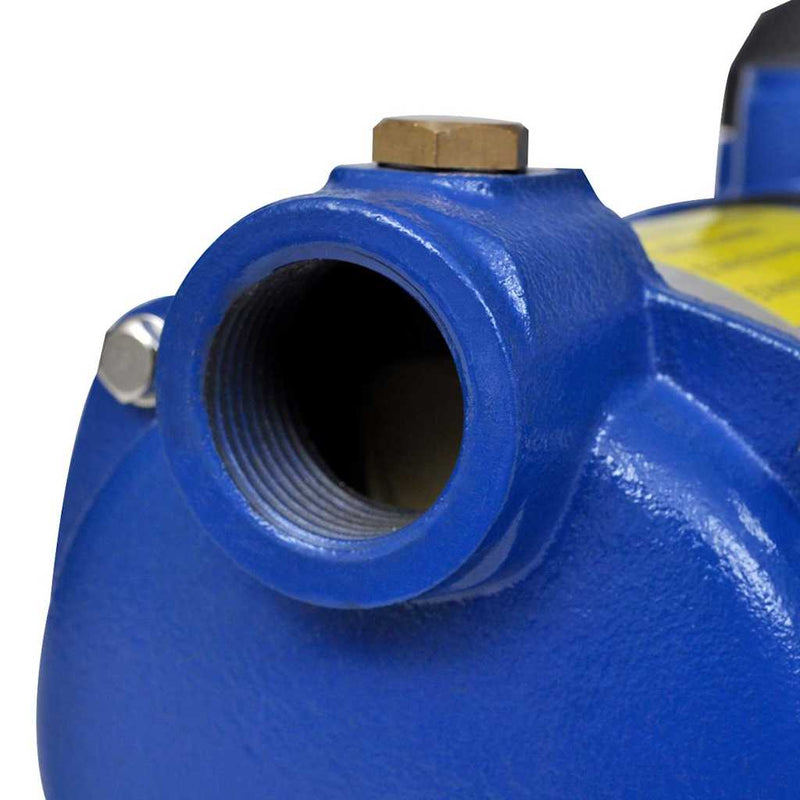 Cargue la imagen en el visor de la galería, Vidaxl jet waterpomp 1300 w 5100 l u (blauw)