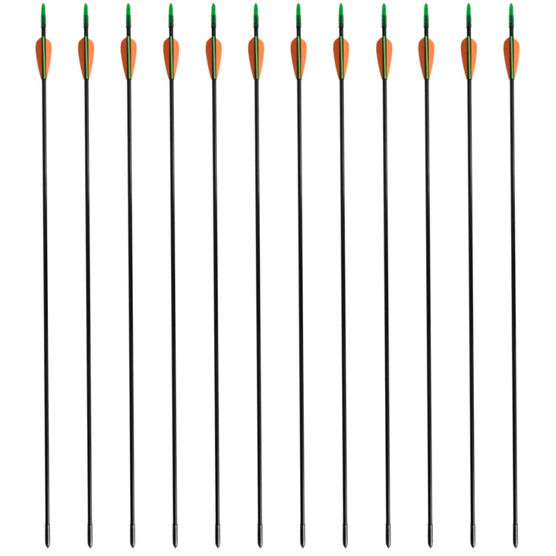 Load image into Gallery viewer, Vidaxl recurveboog standaard met pijlen 30 0,6 cm glasvezel 12 stuks