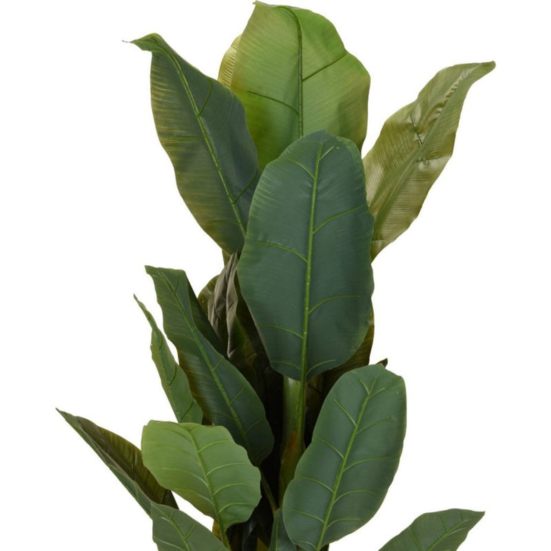 Afbeelding laden in galerijviewer, Overige merken kunstplant bananenboom 80x165 cm groen