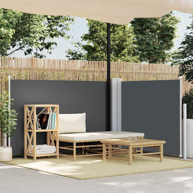 Load image into Gallery viewer, Vidaxl windscherm uittrekbaar 120x1000 cm antraciet